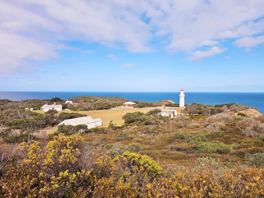 Melbourne: Mornington Peninsula Southern Coast Discovery - What the guide adds to the day