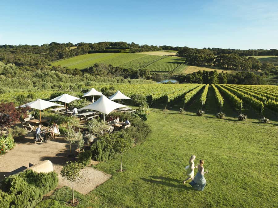 Melbourne: Mornington Peninsula Wine Day Tour - Crittenden Estate adds Italian and Iberian varieties