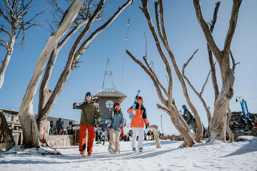 Melbourne: Mt Buller Snow Tour-Save on Hire & True 5 Hrs Fun - The scenery is a major reason to make the long trip