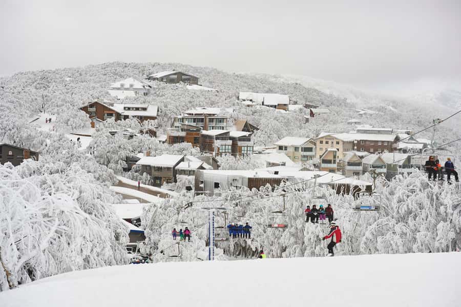Melbourne: Mt Buller Snow Tour-Save on Hire & True 5 Hrs Fun - Who will get the most from this trip