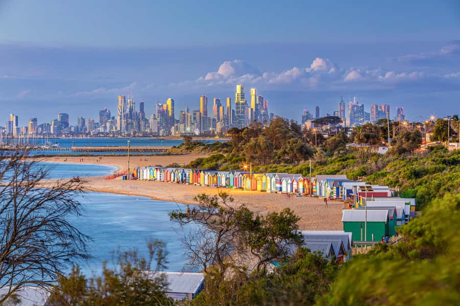 Melbourne: Penguin Parade , Koala & Brighton Bathing Boxes - Why this day works for a first look at Phillip Island