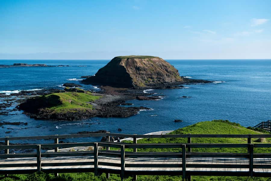 Melbourne: Penguin Parade , Koala & Brighton Bathing Boxes - Two hours with Australian animals at Maru
