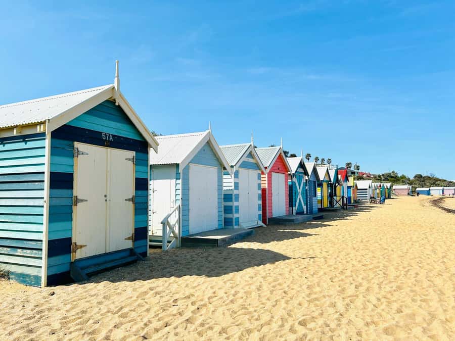 Melbourne: Penguin Parade & Phillip Island Scenic Day Tour - The Nobbies viewpoint and Phillip Island’s coast