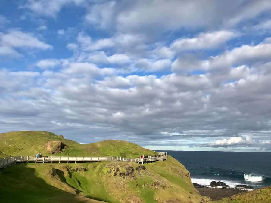 Melbourne: Penguin Parade & Phillip Island Scenic Day Tour - The 10-hour road day and what it feels like