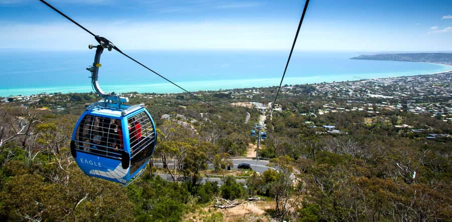 Melbourne: Peninsula Nature Private Day Trip with Dinner - A picnic dinner at Arthurs Seat