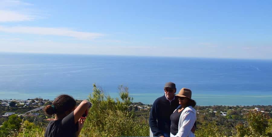 Melbourne: Peninsula Sightseeing Driving Day Tour - Timing, comfort, and the real value of four hours