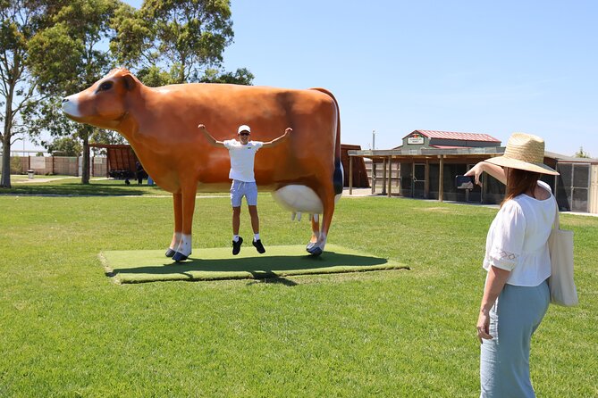 Melbourne Phillip Island 1 Day Tour - Why Phillip Island is worth the long ride