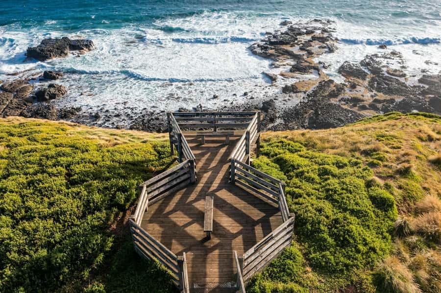 Melbourne: Phillip Island Penguin Parade Watching Day Tour - Starting in Melbourne at three possible pickup points