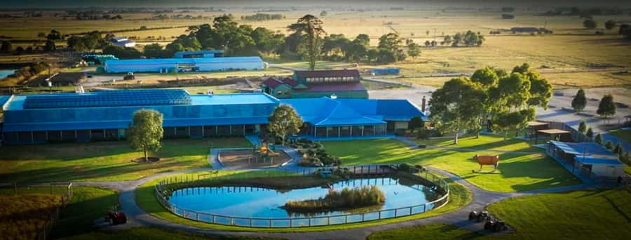 Melbourne：Phillip Island Tour 1 Day Tour - Who will enjoy this day most?