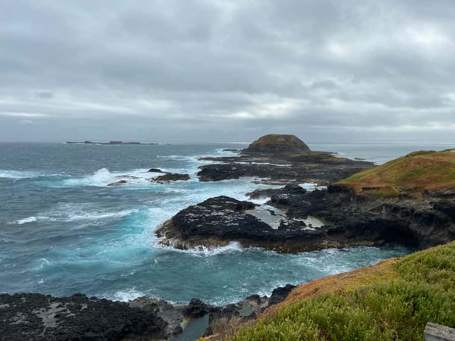 Melbourne: Phillip Island Tour & Penguin Parade - Who will enjoy this Phillip Island tour?