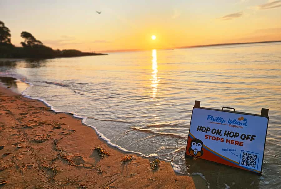 Melbourne: Phillip Island Tour w/ Hop-on Bus or Seal Cruise - What $109 buys you