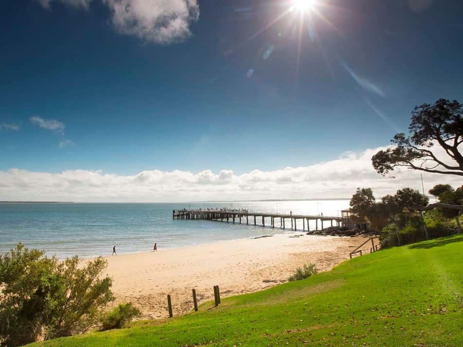 Melbourne: Phillip Island Tour w/ Hop-on Bus or Seal Cruise - Who should choose this day trip