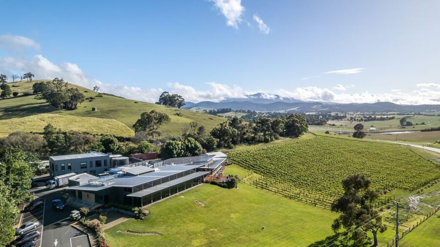 Melbourne: Private Yarra Valley Winery Lunch by Helicopter - Tasting the reds, whites, and sparkling wines