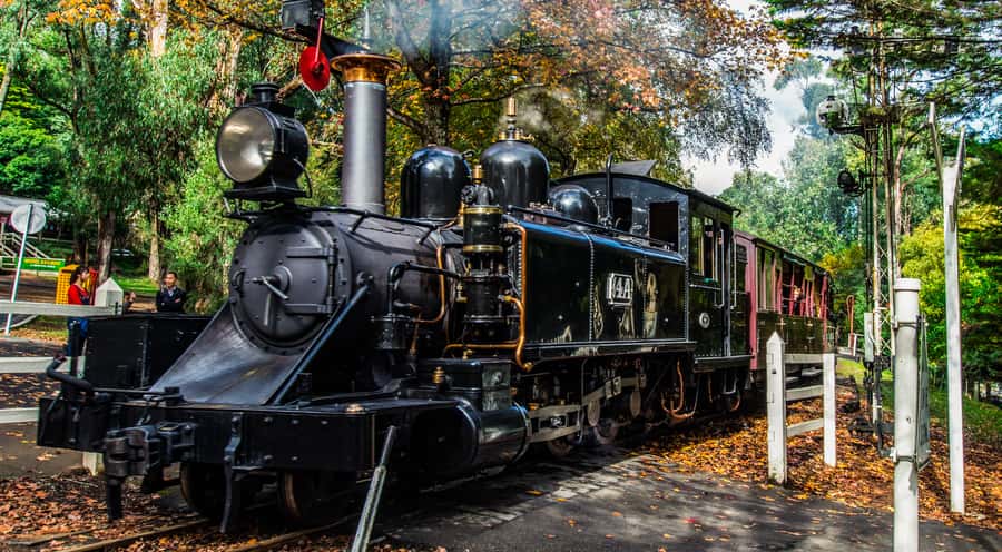 Melbourne: Puffing Billy & Healesville Sanctuary Scenic Tour - The guides shape the whole experience