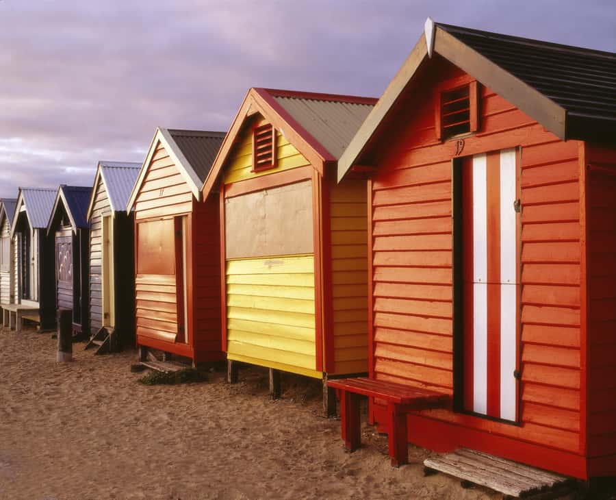 Melbourne: Puffing Billy Penguin Parade Brighton Boxes Tour - Who should book this day trip?