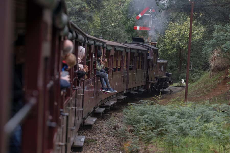 Melbourne: Puffing Billy Railway & Penguin Parade Day Tour - The coach ride and the long return to Melbourne