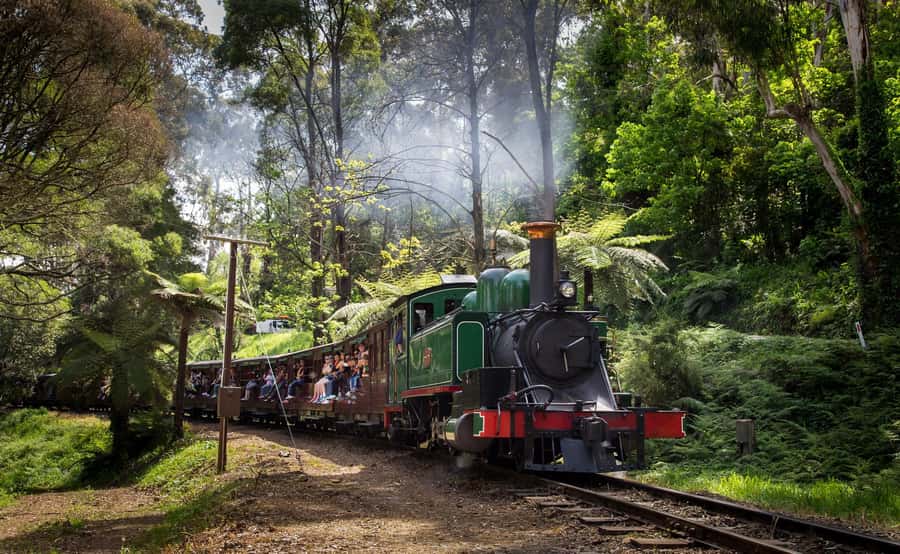 Melbourne: Puffing Billy Railway & Rainforest Tour - Is $107 good value?