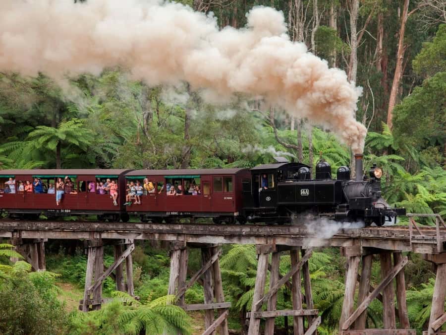 Melbourne: Puffing Billy Steam Train and Philip Island - Starting in Melbourne with a private guide