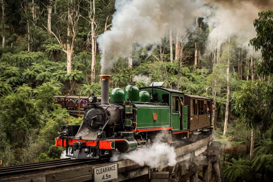 Melbourne: Puffing Billy Steam Train & Penguin Parade Tour - Riding Puffing Billy through the Dandenong Ranges