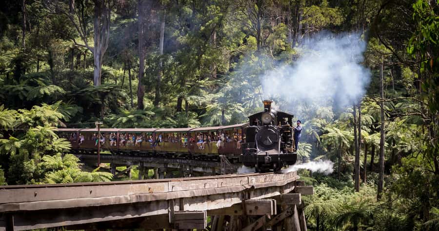 Melbourne: Puffing Billy Steam Train & Penguin Parade Tour - Waiting for the little penguins