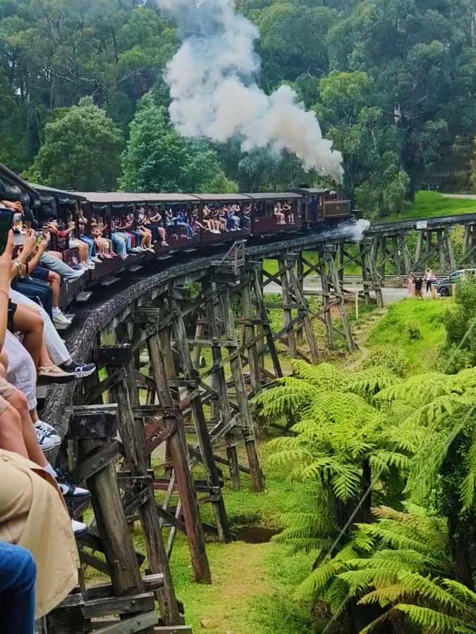 Melbourne: Puffing Billy Train and Penguin Island Day Tour - Key points at a glance