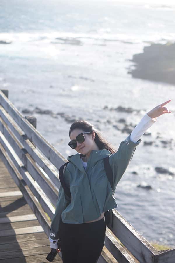 Melbourne: Puffing Billy Train and Penguin Island Day Tour - Why this Melbourne day trip works