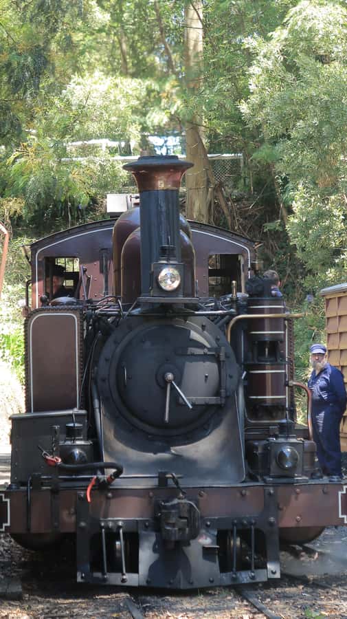 Melbourne: Puffing Billy Train and Penguin Island Day Tour - Starting from Melbourne at six pickup points