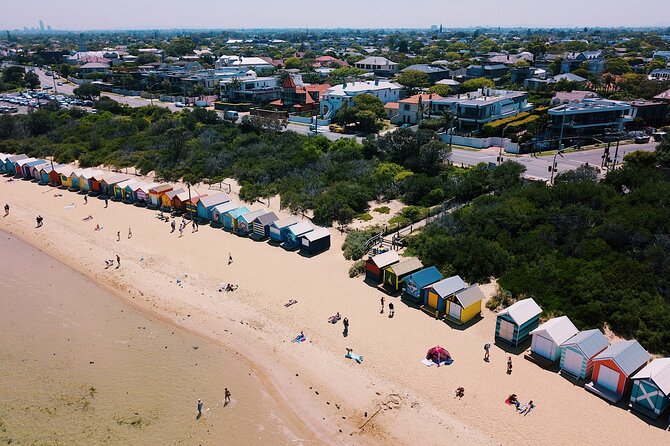 Melbourne Puffing Billy Train and Penguin Parade Day Tour Escape - The Nobbies and Bass Strait views
