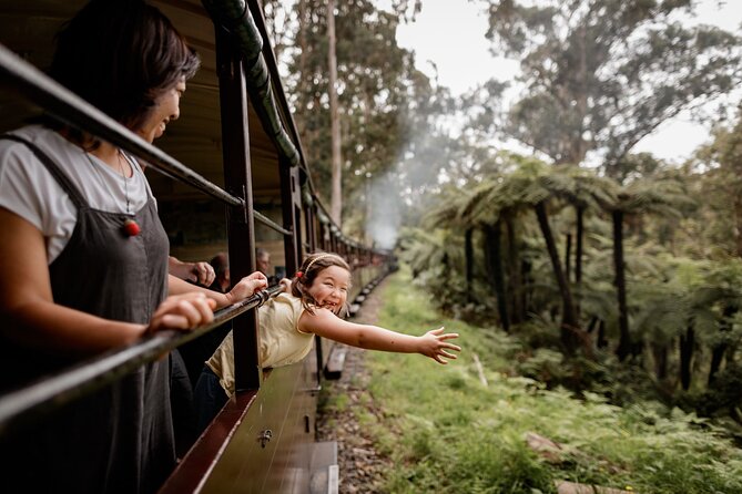 Melbourne Puffing Billy Train and Penguin Parade Day Tour Escape - Maru Koala and Animal Park: close animal encounters at an extra cost