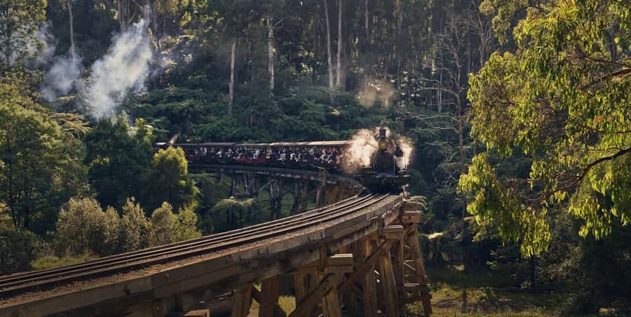 Melbourne: Puffing Billy Train & Healesville & Winery Tour - Why this day trip works for Melbourne