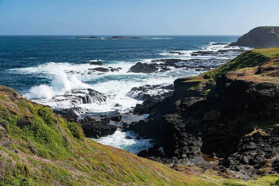 Melbourne: Puffing Billy Train & Penguin Island Excursion - Taking in The Nobbies viewpoint