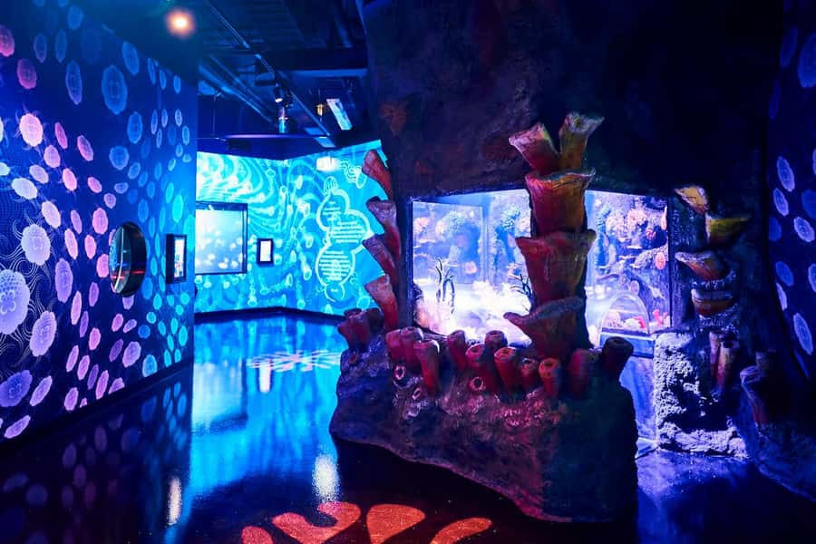 Melbourne: SEA LIFE Aquarium Entrance Ticket - How the $28 ticket measures up