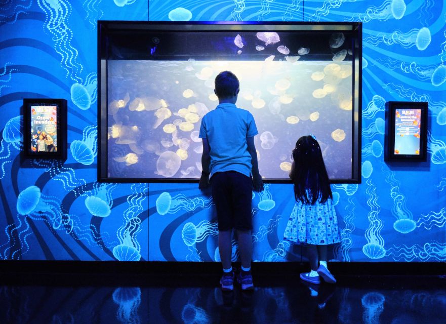 Melbourne: SEA LIFE Aquarium Entrance Ticket - The Antarctic penguins are the clear crowd favorite