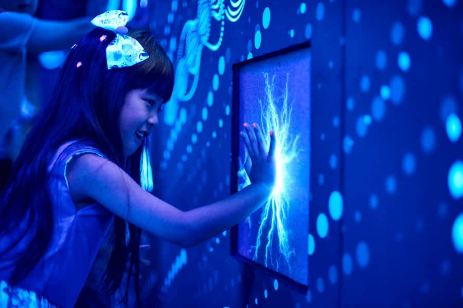 Melbourne: SEA LIFE Aquarium Entrance Ticket - Start with big crabs, lobsters, and the first marine displays