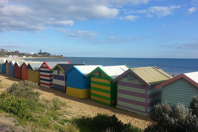 Melbourne Shore Excursion: Private City Tour 5 Hours - What the guides add to the day