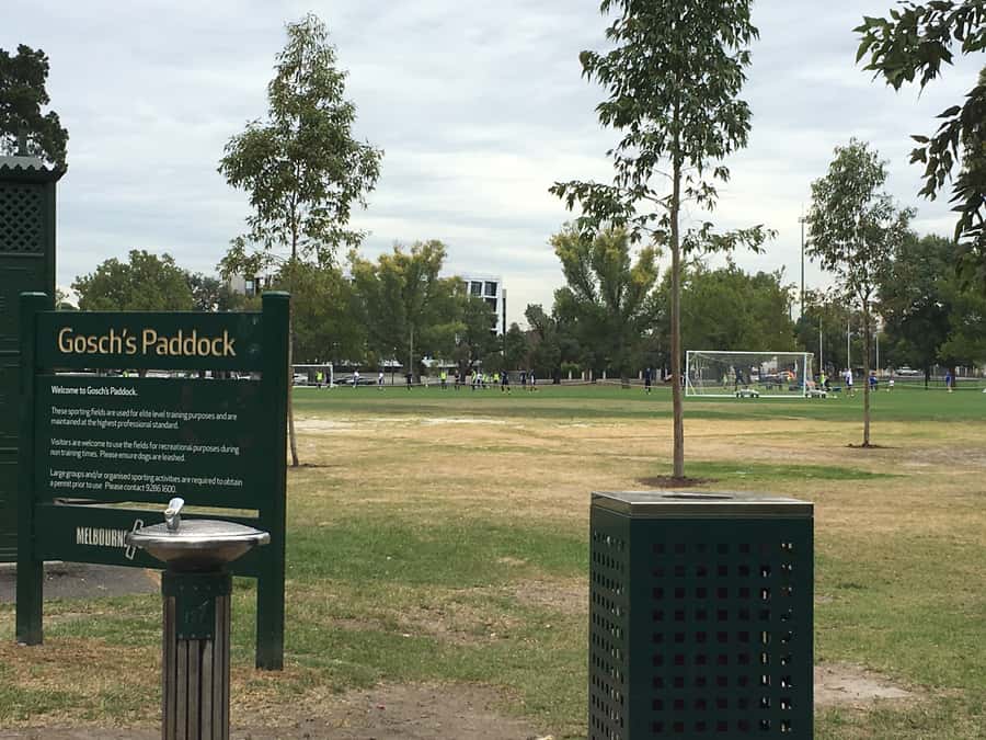 Melbourne Sports Walk - Key points to know before booking