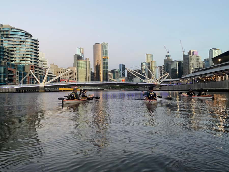 Melbourne: Sunset Kayak Tour with Dinner - Is $84 per person good value?