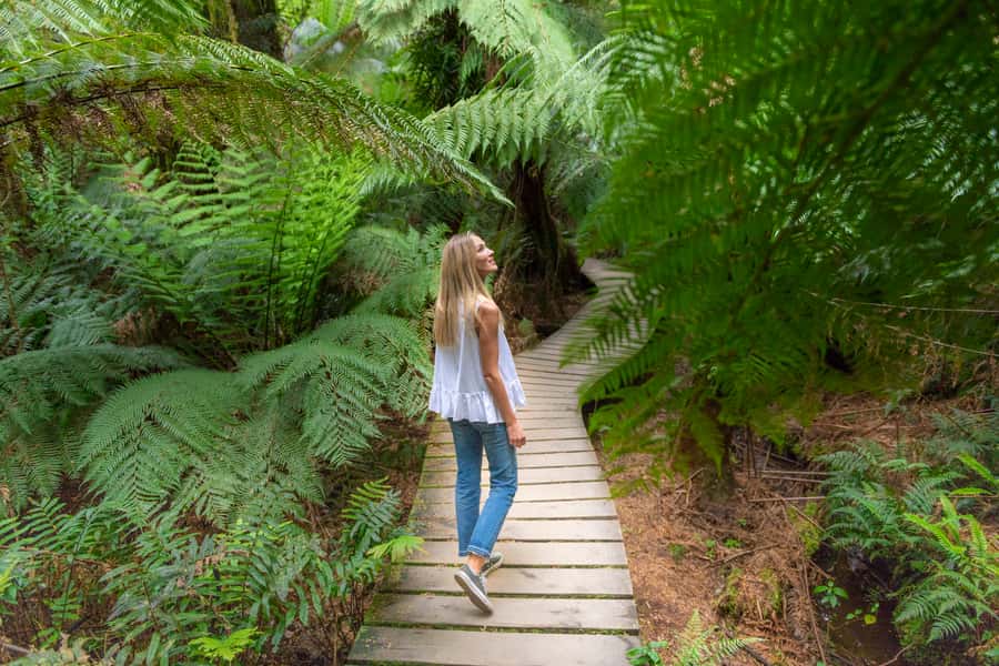 Melbourne to Adelaide: 2-Day Overland Explorer Tour - The Balconies and Mackenzie Falls