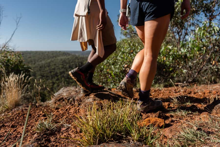 Melbourne to Adelaide: 2-Day Overland Explorer Tour - The long run to Adelaide