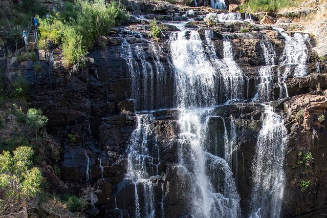 Melbourne to Adelaide 3-Day Great Ocean Road & Grampians Tour - Guides, group size, and comfort on the road