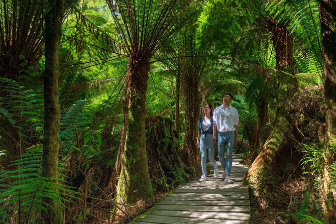 Melbourne to the Great Ocean Road & Grampians 3 Day Original Tour - Why this three-day route works