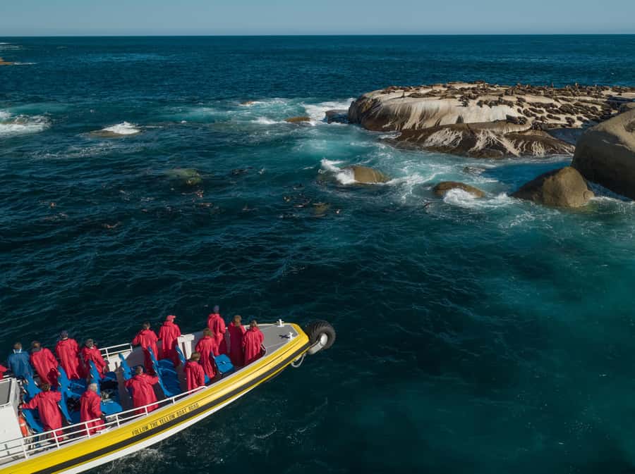 Melbourne: Wilsons Promontory Morning Wilderness Cruise - Key points at a glance