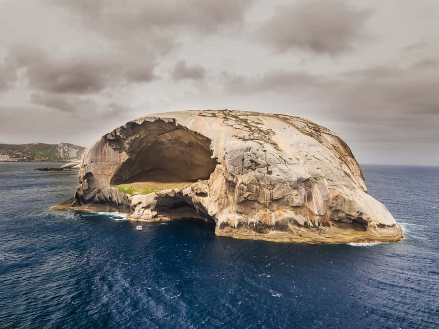 Melbourne: Wilsons Promontory Morning Wilderness Cruise - The amphibious boat ride