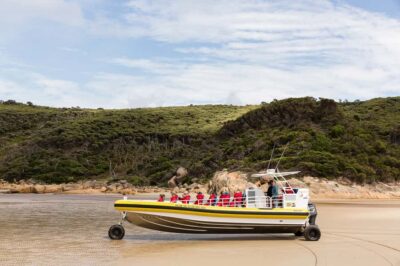 Wilsons Promontory Morning Wilderness Cruise