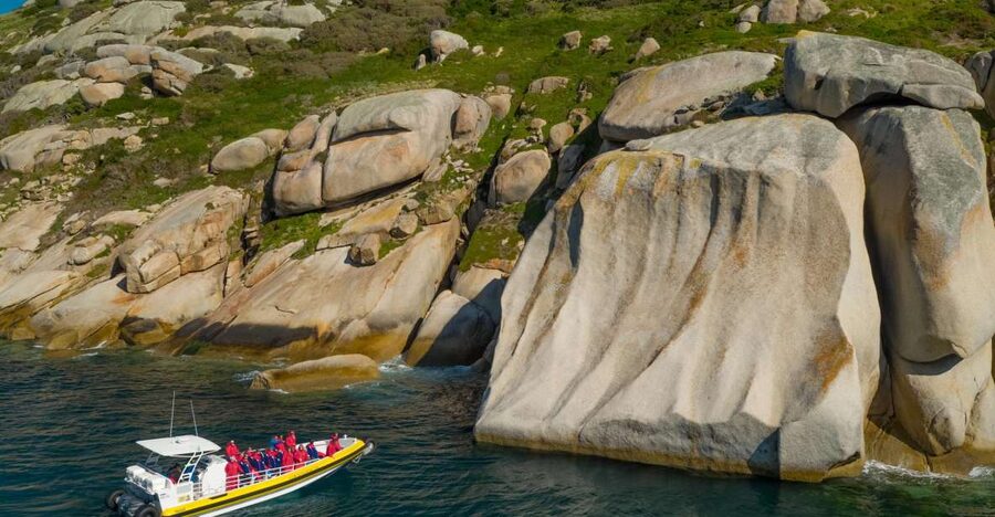 Melbourne: Wilsons Promontory Morning Wilderness Cruise - Seals, dolphins and the chance of whales