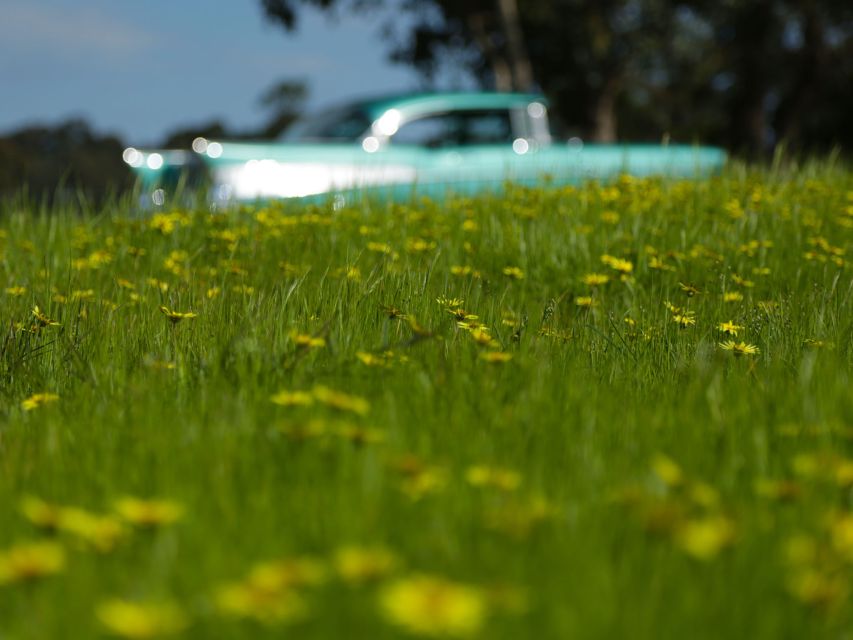 Melbourne: Yarra Valley Food & Wine Tour in a '56 Chevrolet - TarraWarra and the valley’s country views