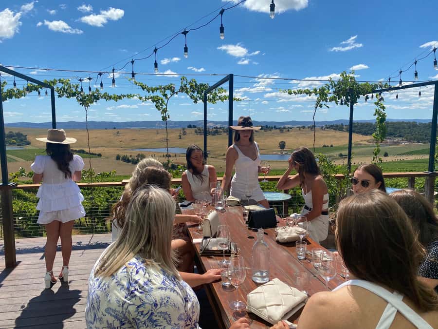 Melbourne: Yarra Valley Wine, Cider, Gin, Beer, & Choc Tour - Tokar Estate: scenic views with more wine