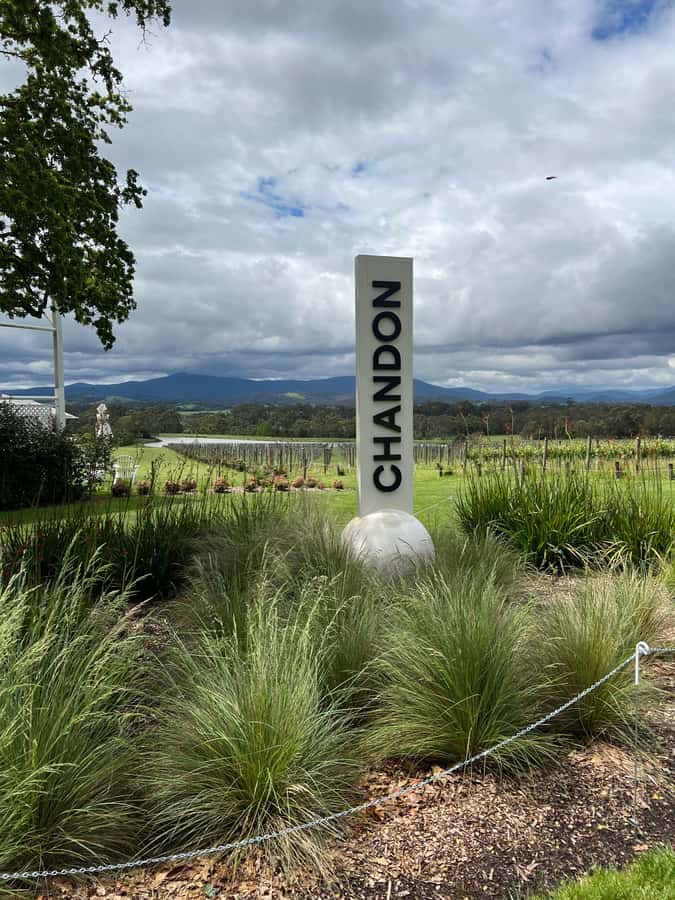 Melbourne: Yarra Valley Wineries Private Day Tour - Starting from Melbourne with a private ride