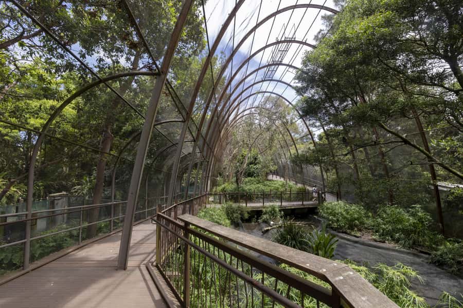 Melbourne Zoo: Australian Wildlife Experience Ticket - How the small group affects the experience