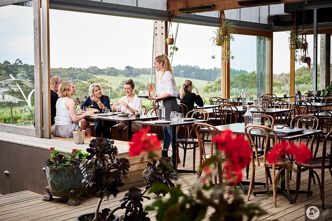 Montalto Vineyard: Mornington Peninsula Discovery Wine Tasting and Lunch - Seasonal lunch in the Piazza